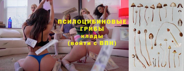 сатива Богородск
